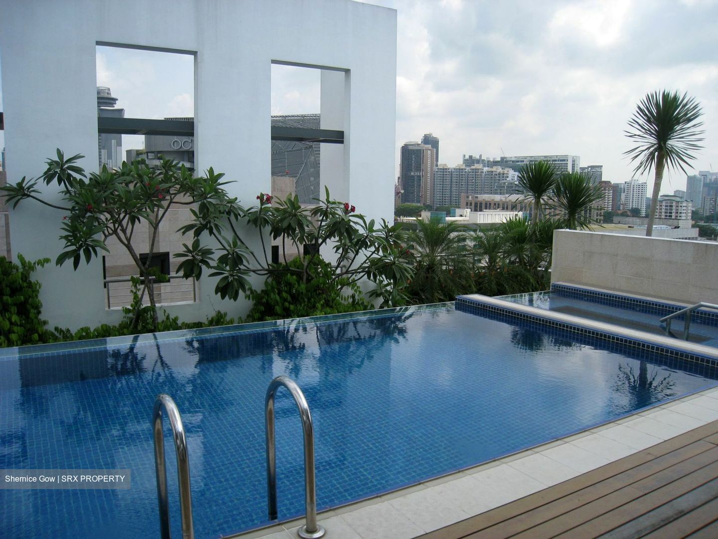 One Oxley Rise (D9), Apartment #362080251